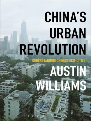 cover image of China's Urban Revolution